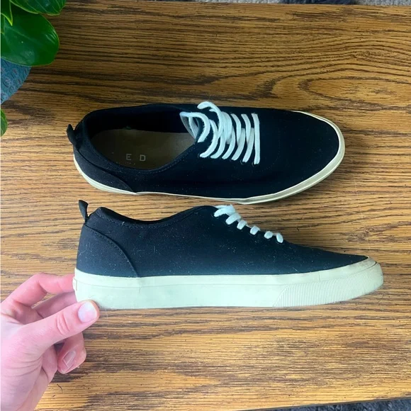 Everlane Canvas Sneakers M11.5 - Picture 1 of 9